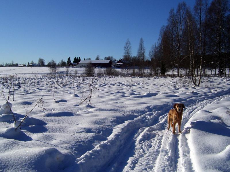 Torpgarden Oennerudsvaegen 56 Apartamento Torsby Exterior foto